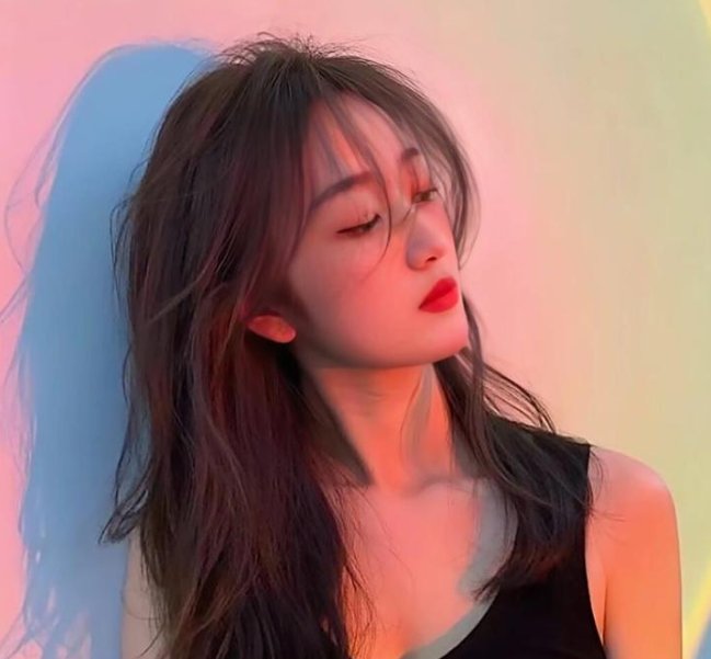 少林与咏春粤语
